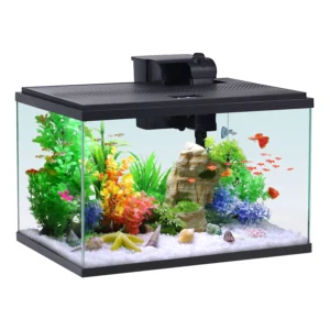 Aqua Culture 10 Gallon Glass Aquarium