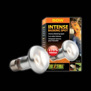 Exo Terra Sun Glo Neodymium Basking Spot Lamp for Reptiles, 75W