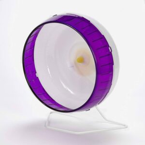 Kaytee 12-Inch Silent Spinner Hamster Wheel, Assorted Colors