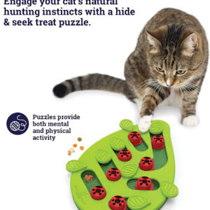 Nina Ottosson by Petstages Buggin Out Puzzle and Play - Interactive Cat Treat Puzzle