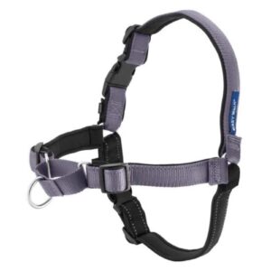 PetSafe Easy Walk Deluxe Dog Harness, No-Pull Training