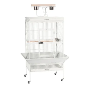 Prevue Pet Products Hendryx Parrot Playstand in Chrome